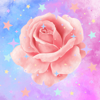 Sara Johnson profile picture