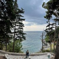 Anja Jovanovic profile picture