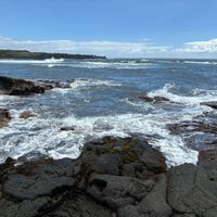 Cassie Johnson profile picture