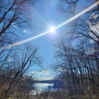 Vee Loves profile picture