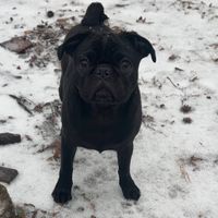 Kate profile picture