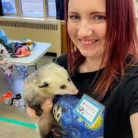 Haleyyy 🦊🎨☕️🪄 profile picture