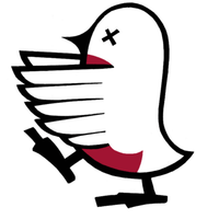 Zobin profile picture