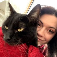 Sophie Longueville profile picture
