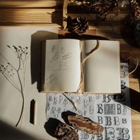 Thaissa Guevara profile picture