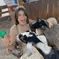 Barb Vesligaj profile picture