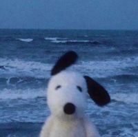 attie profile picture