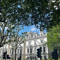 Annie K. profile picture