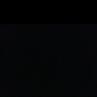 . profile picture