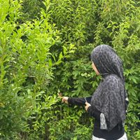 Samira Rahi profile picture