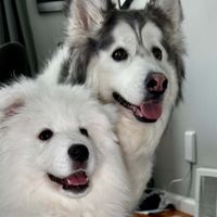 Kya & Shirahoshi profile picture