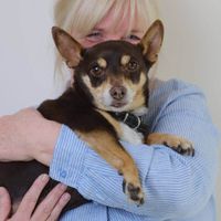 Netty M profile picture