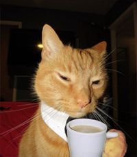 Mariam Unfiltered profile picture