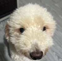 May and Summer profile picture