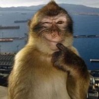 Victoria S profile picture
