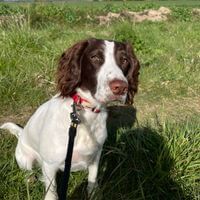 Maggy Hume profile picture