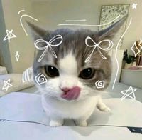 Jane profile picture