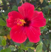 Hannah profile picture