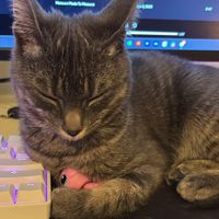 Jenna Harms profile picture