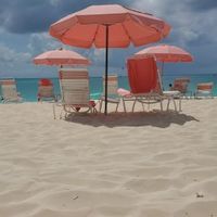 Nadine profile picture