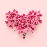 Amy Ganbold profile picture
