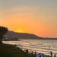 Marie Sinz profile picture