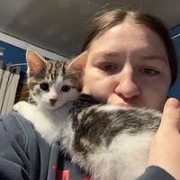 Shantelle Shervey profile picture