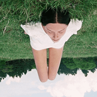 Alex profile picture