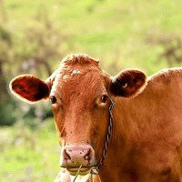 Inspired Life By Erin profile picture