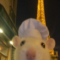 Miss Sellsa profile picture