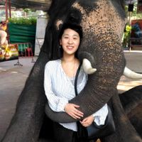 Kaori Murata profile picture