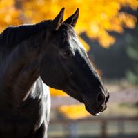 Mandy Helwege profile picture