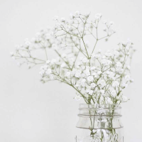 Lena profile picture