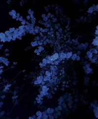 Madelief . profile picture