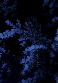 Madelief . profile picture