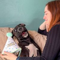 🎀 Sophia & Winn-Dixie 🐾 🧸 profile picture