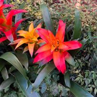 Christine H profile picture