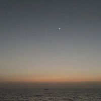 Ryiah profile picture