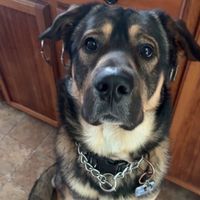 Venus Penny profile picture