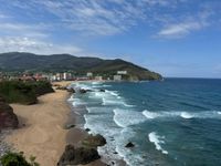 Ann Riley profile picture