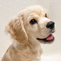 Finn Coy profile picture