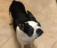 Rio B profile picture