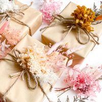 Katie - Guiding you to perfect gifts profile picture