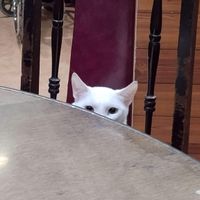 Aileen del Bando profile picture