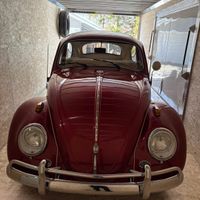 A Bugc’s Life 🐞 profile picture