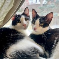 Marcus and Dottie profile picture