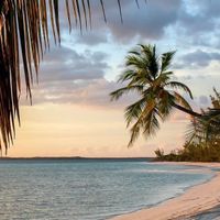 Lusine Bar profile picture