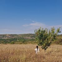 Maria profile picture