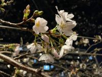 Ciara 💕 profile picture