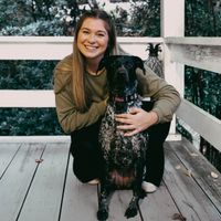Ashley Diemer profile picture